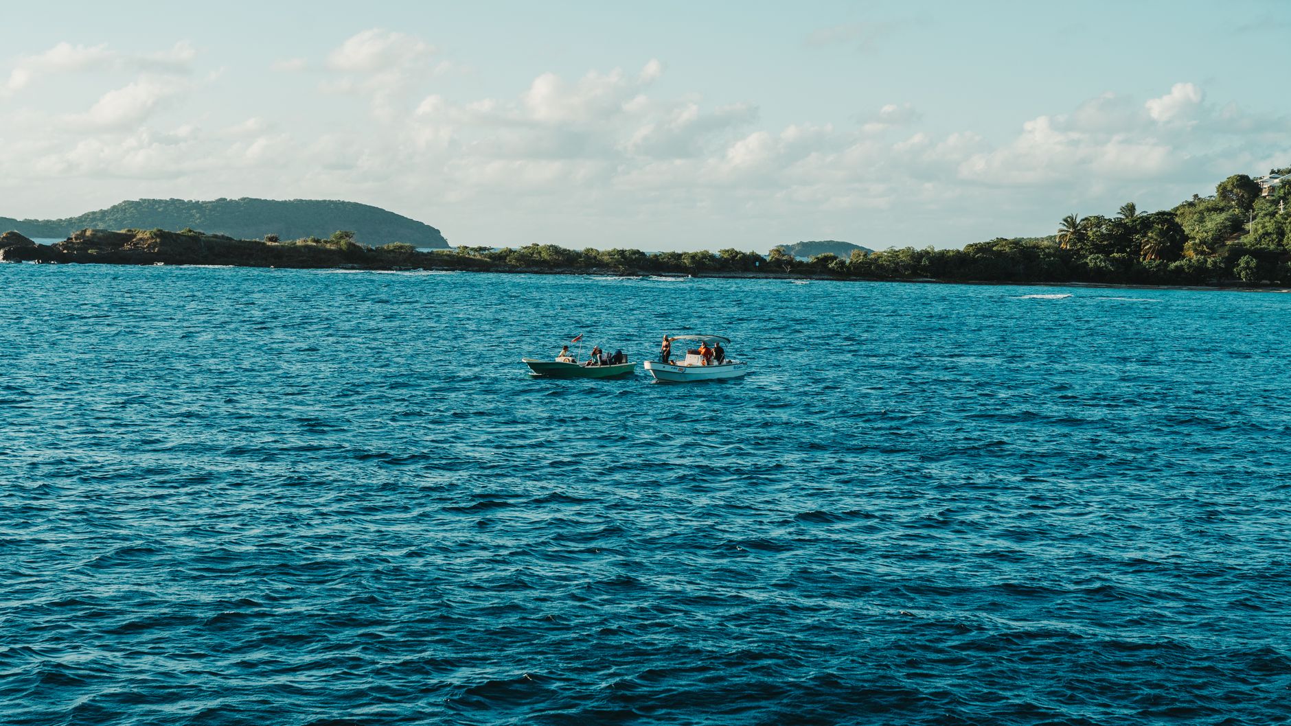 Route bordée de végétation tropicale